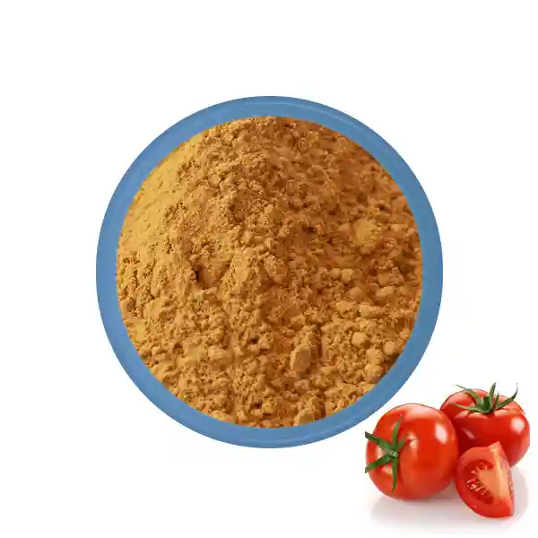 Tomato Powder Bulk